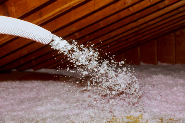 Best Affordable Insulation Services  in Rushville, NE