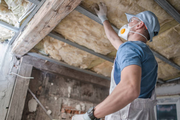 Best Commercial Insulation Contractor  in Rushville, NE