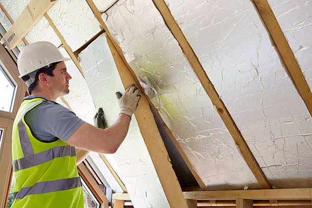 Best Insulation Replacement Services  in Rushville, NE