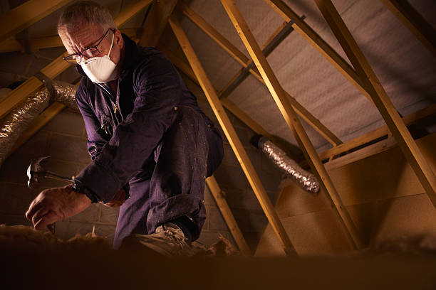 Best Crawl Space Insulation  in Rushville, NE